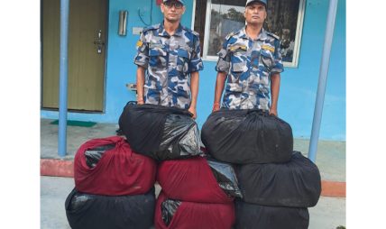 सिरहामा भारत लैजान लागेको १५७ किलो गाँजा बरामद