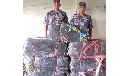 मोरङमा धानबारीबाट २१० किलो गाँजा बरामद मोरङमा धानबारीबाट २१० किलो गाँजा बरामद